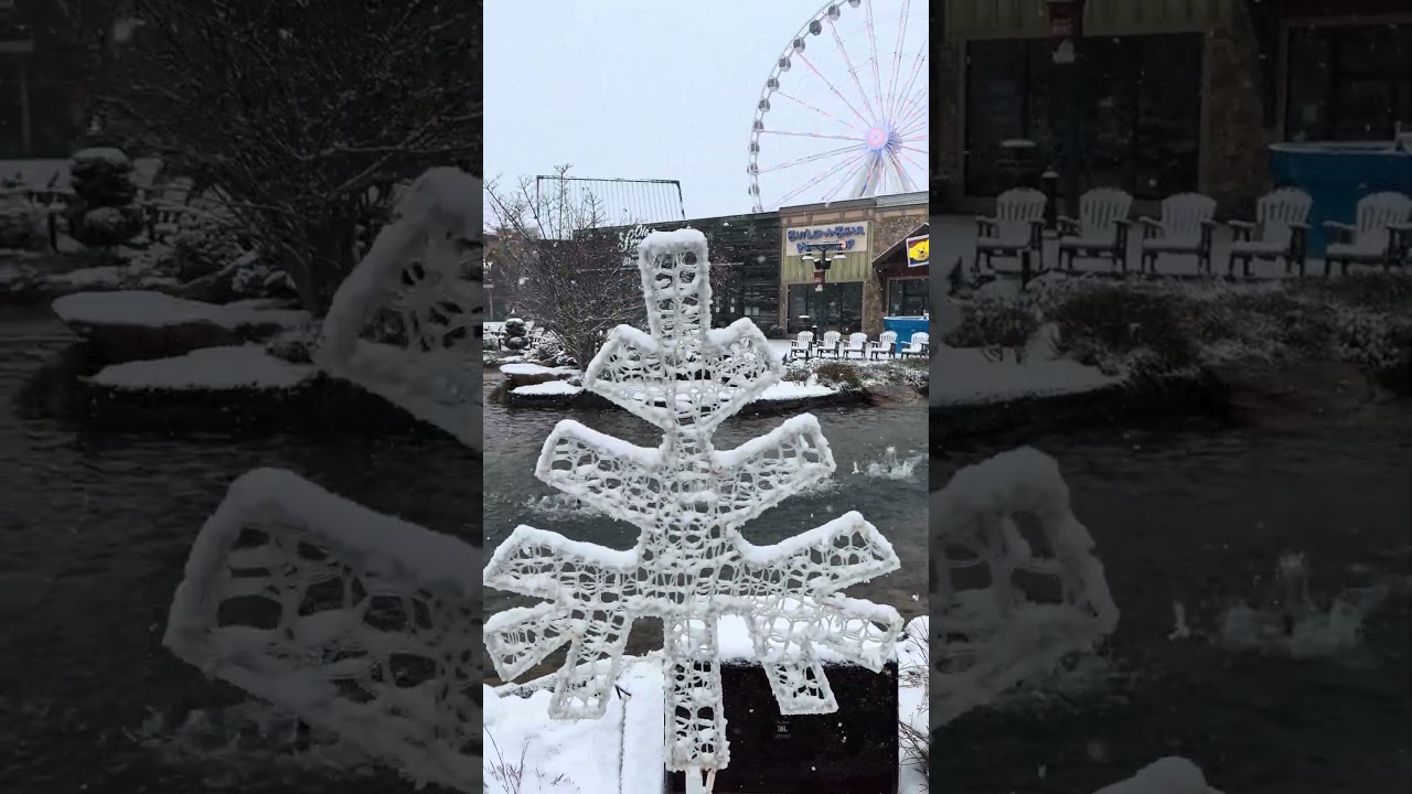 ☘️Dropkick Murphys☘️ The Island Show Fountain💦 