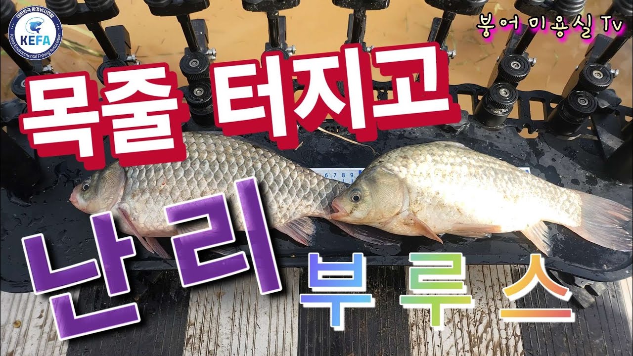 충남 당진 초대저수지  /  비오는 오름수위 / 초대지 첫줄조   #민물낚시 #fishing #붕어낚시 #carpfishing #초대리지 #낚시 
