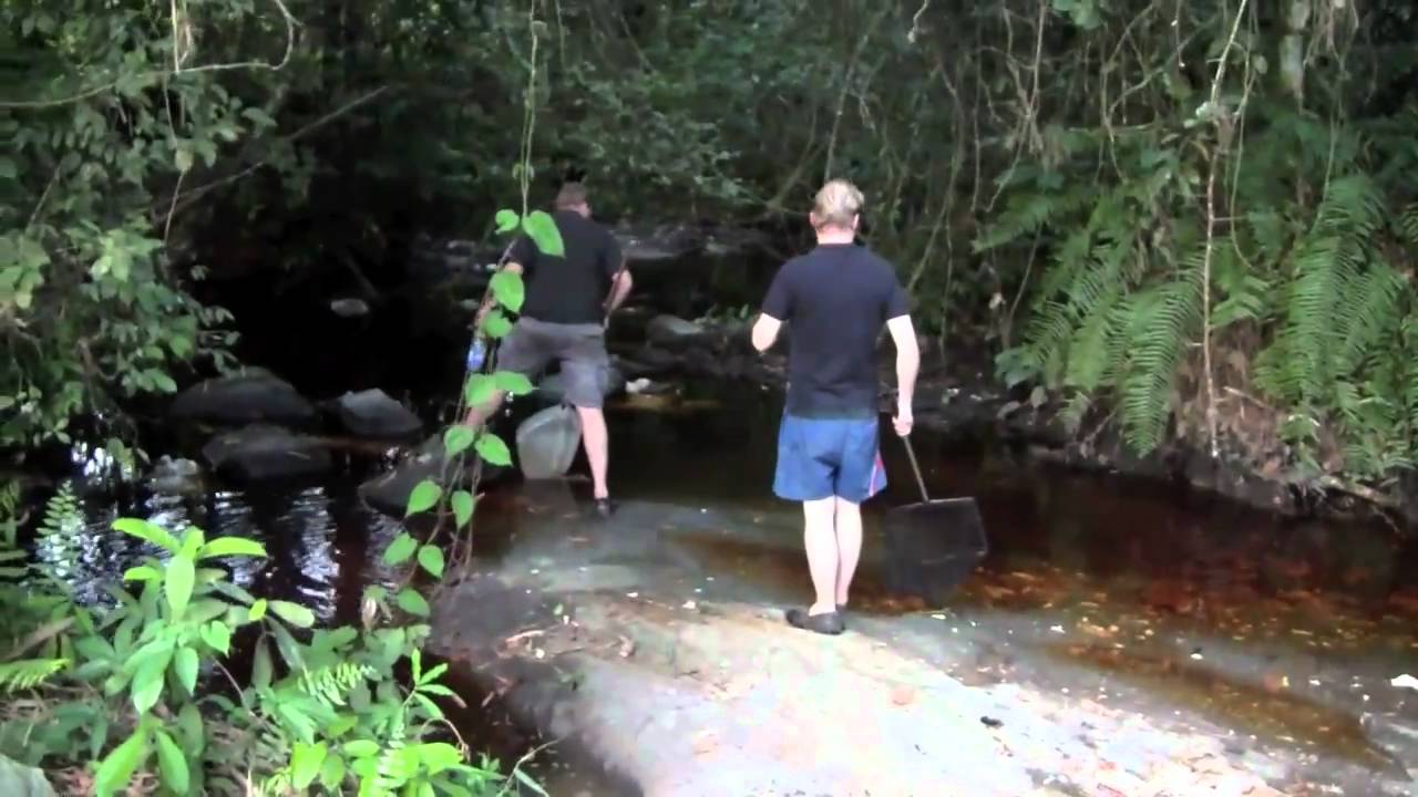 Going Gabon - Makokou Part 1