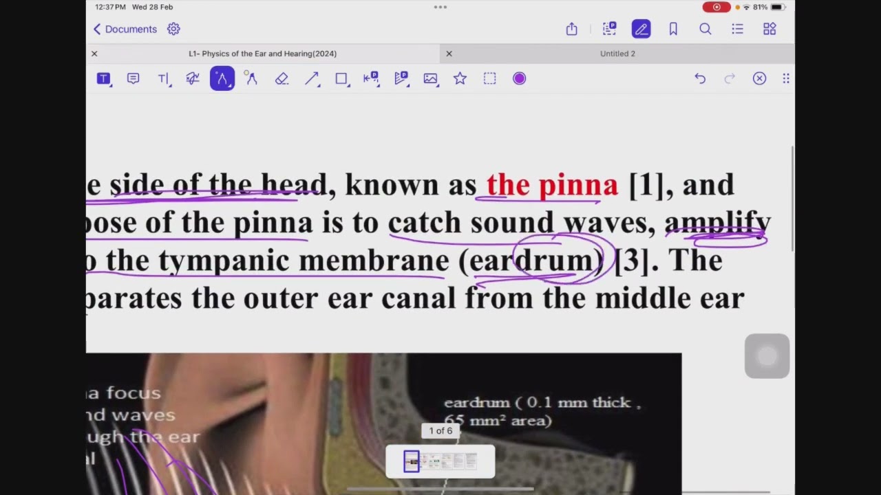 L1: physics of the ear and hearing P1 ‏طب البصرة المرحلة الأولى مادة الفيزياء الطبية