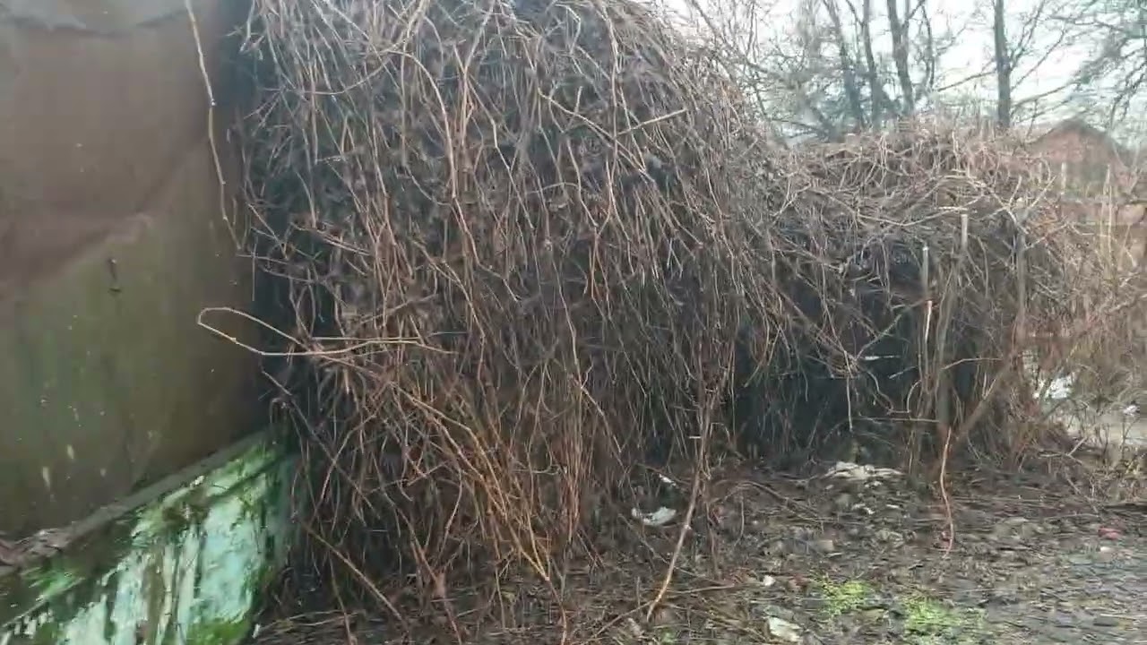 Отак люди одеваются 