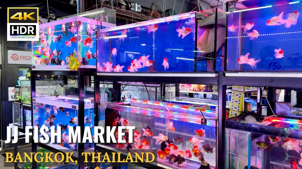 [BANGKOK] Chatuchak Fish Market 