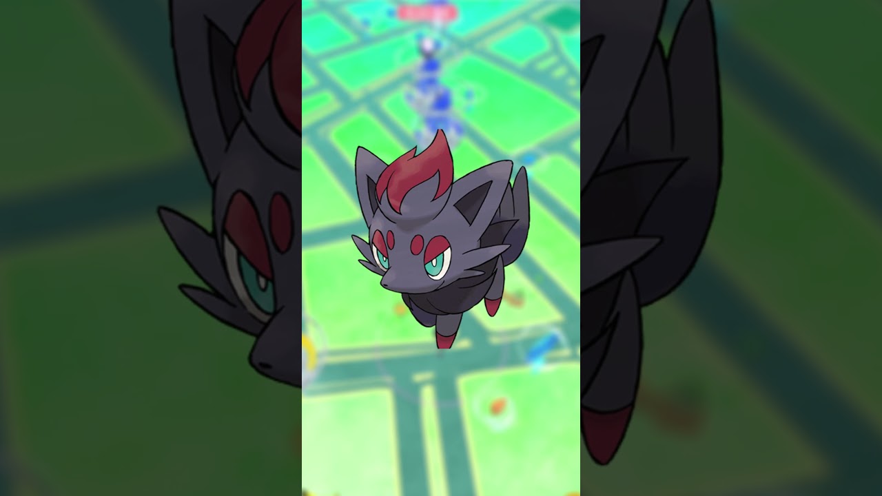 How To Get Zorua In Pokémon Go Tutorial 2024（Rare Pokemon In Pokemon Go)