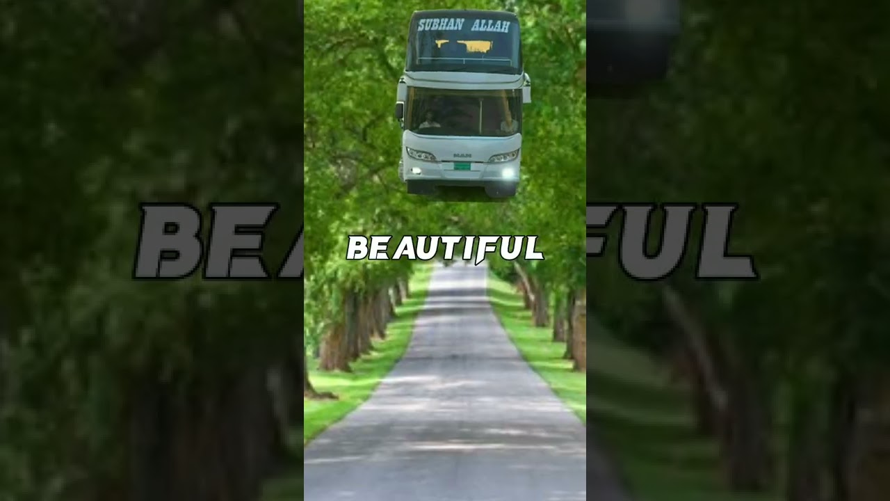 Shohagh Prestige Vs Green Line DD Bus Comparison🥶🔥