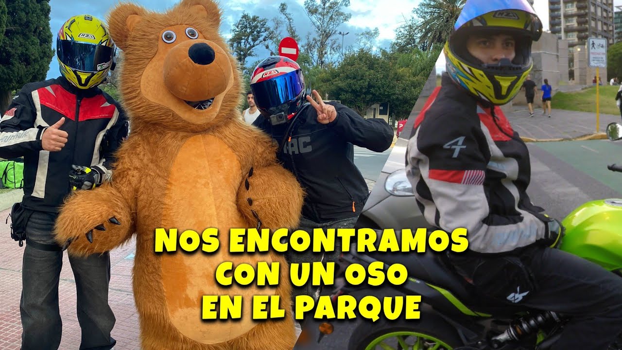 OBSERVACIONES DIARIAS / NOS ENCONTRAMOS UN OSO😱😳 CORDOBA CAPITAL