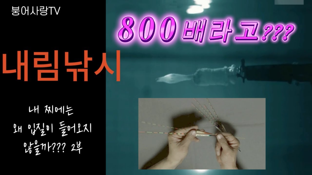 내림낚시 내 찌에는 왜 입질이 들어오지 않을까??? 2부 (: 800배? 표현을 극대화 시켜야 즐낚이다.