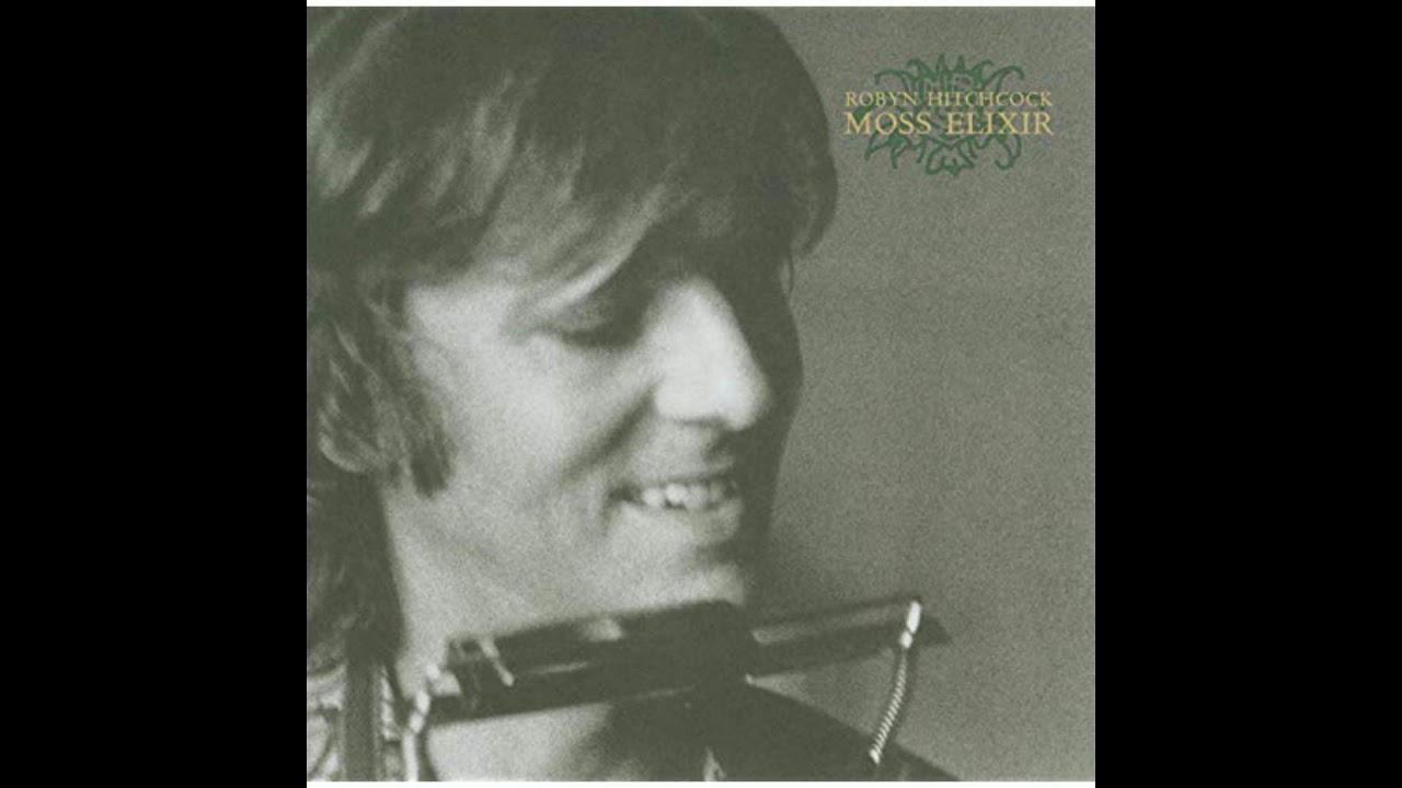 Robyn Hitchcock - Sinister But She Was Happy