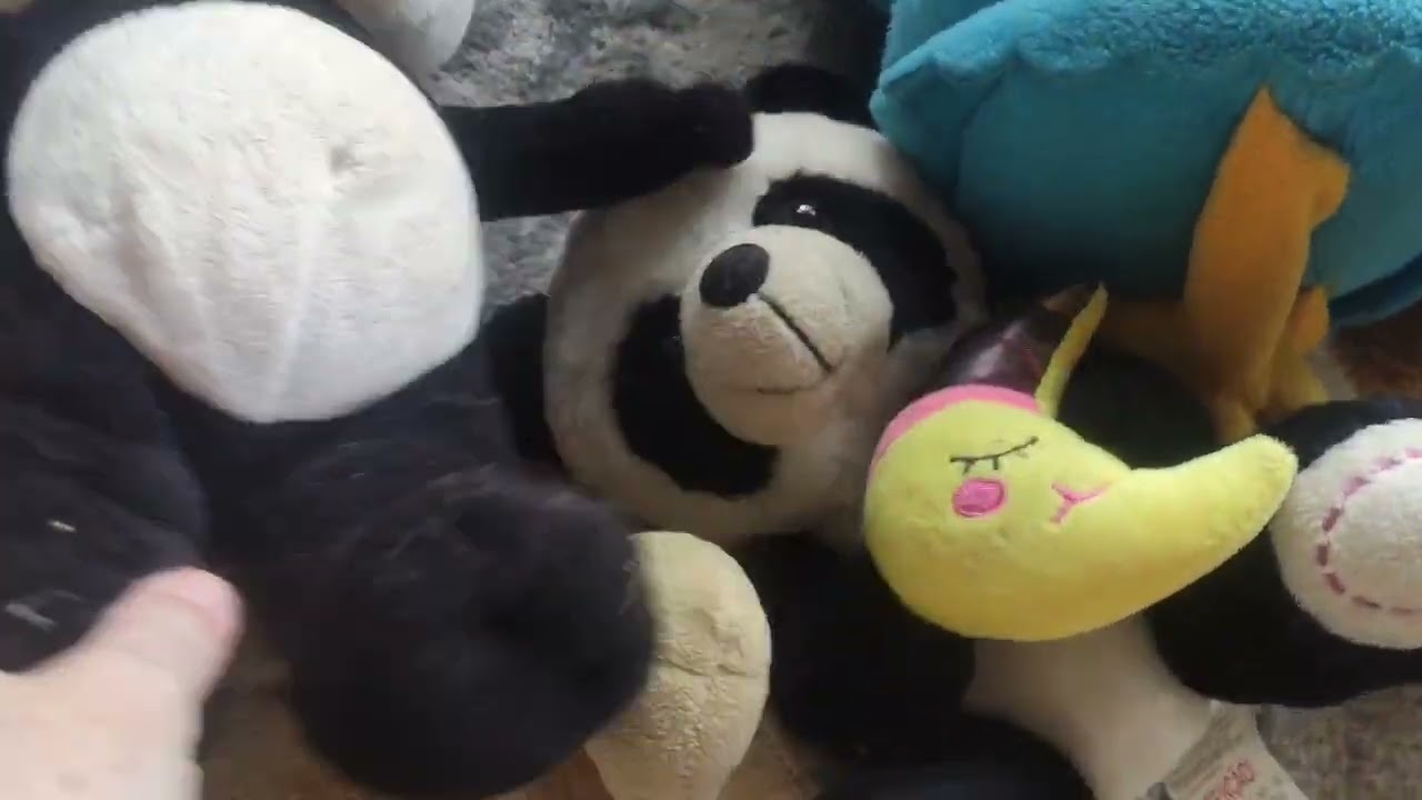 Mais um dia de caçada na vizinhança, muitos bichinhos de pelúcia 🧸🧸