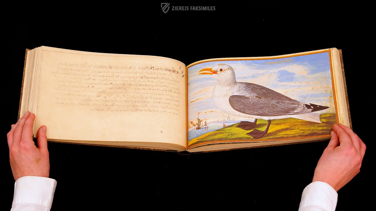 LEONHARD BALDNER: BOOK ON FISHES, BIRDS, AND MAMMALS - Browsing Facsimile Editions (4K / UHD)