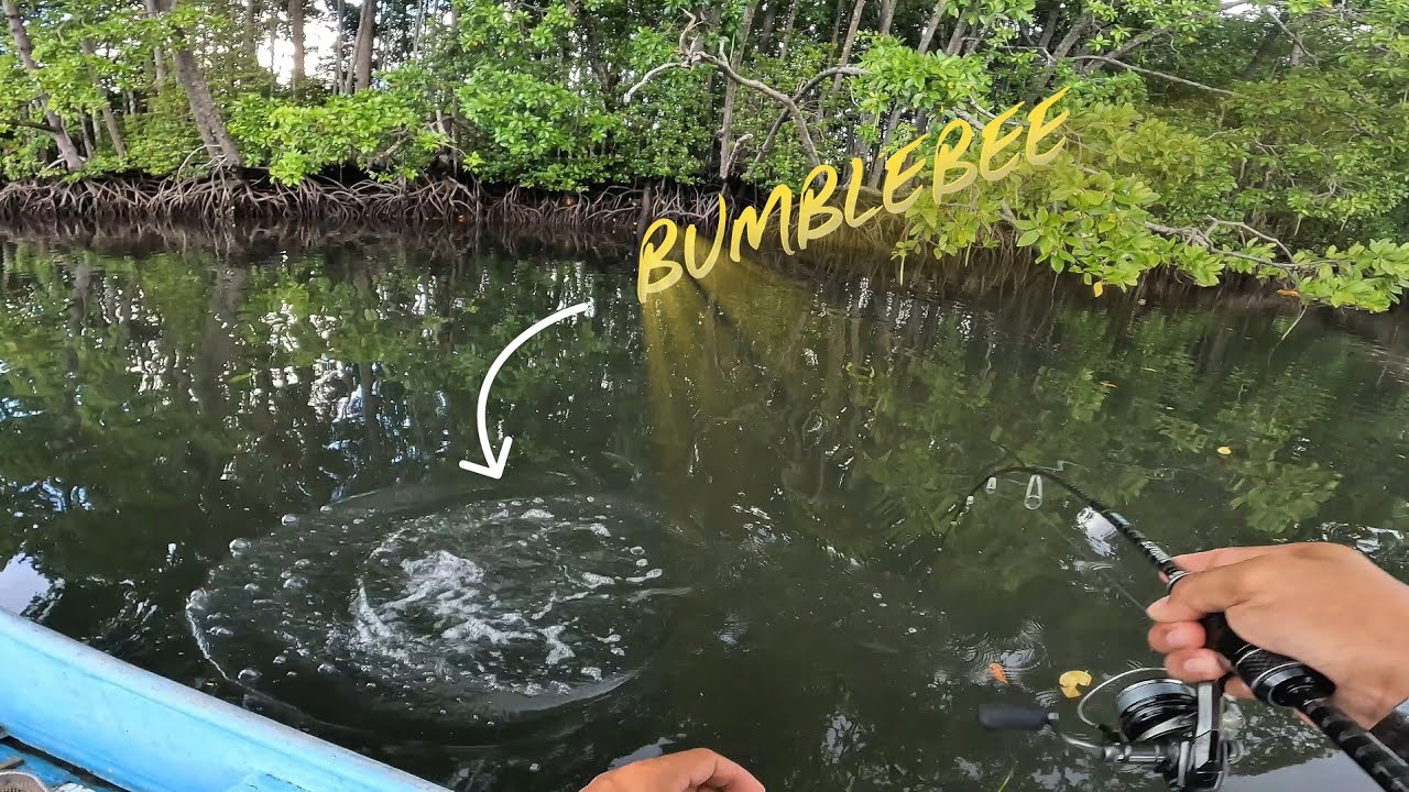 SAMBARAN KERAS BUMBLEBEE