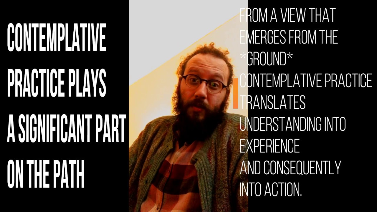 Contemplative Education to Cultivate Integrative Wisdom
