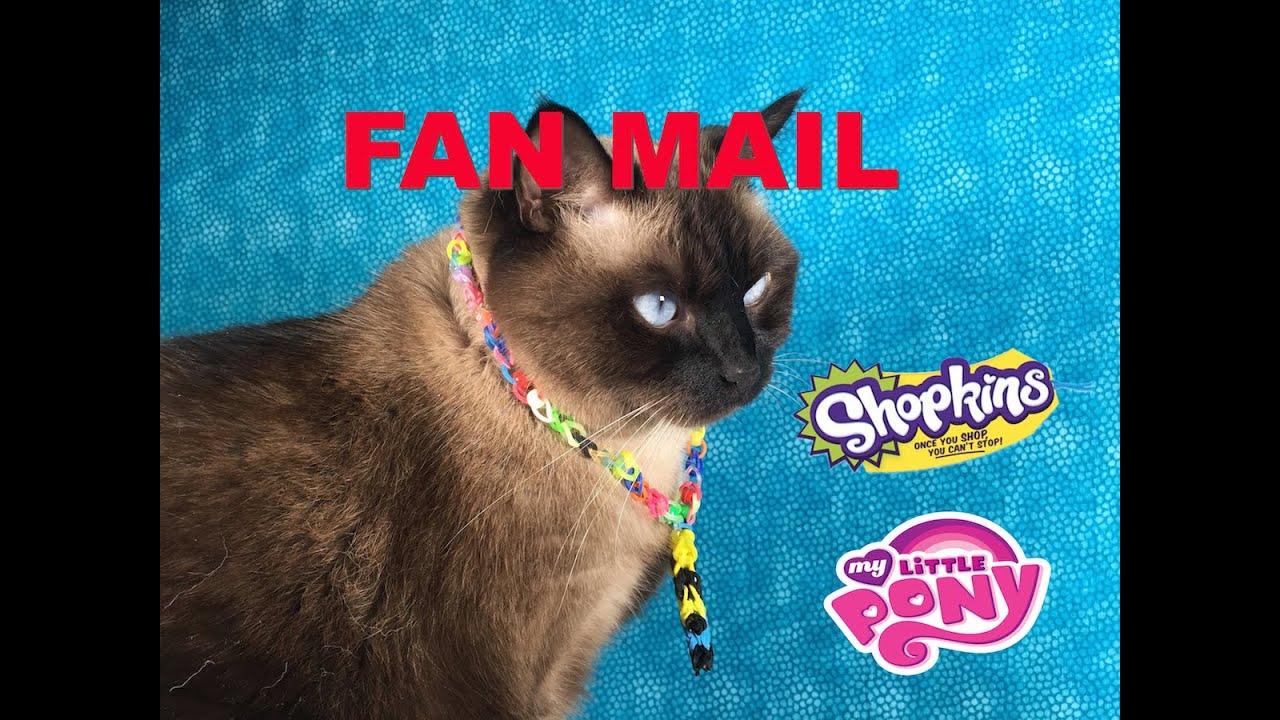 Cinco De Mailo Fan Mail September Opening Unboxing With Shopkins | PSToyReviews
