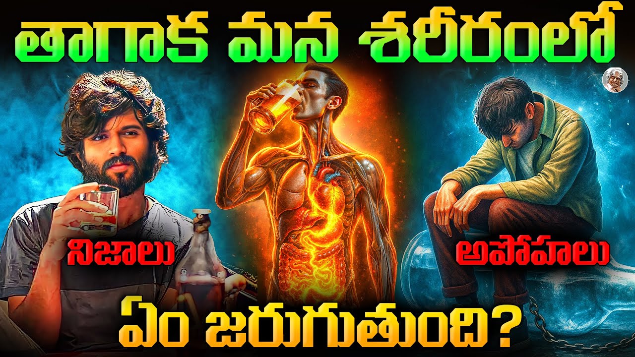 నీకు మందు తాగే అలవాటు ఉందా ? || ఐతే ఇది తెలుసుకొని తాగు || what happens when you get drunk