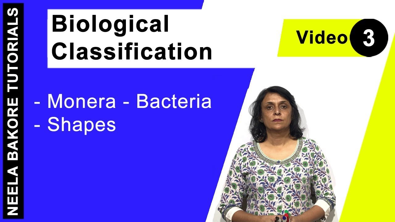 Biological Classification | NEET | Monera - Bacteria - Shapes | Neela Bakore Tutorials