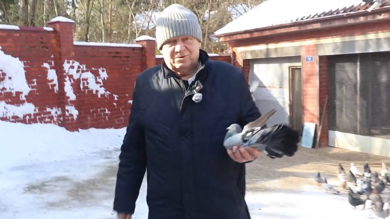 В гостях у Щербакова Юрия Алексеевича.Большой питомник Николаевских голубей.
