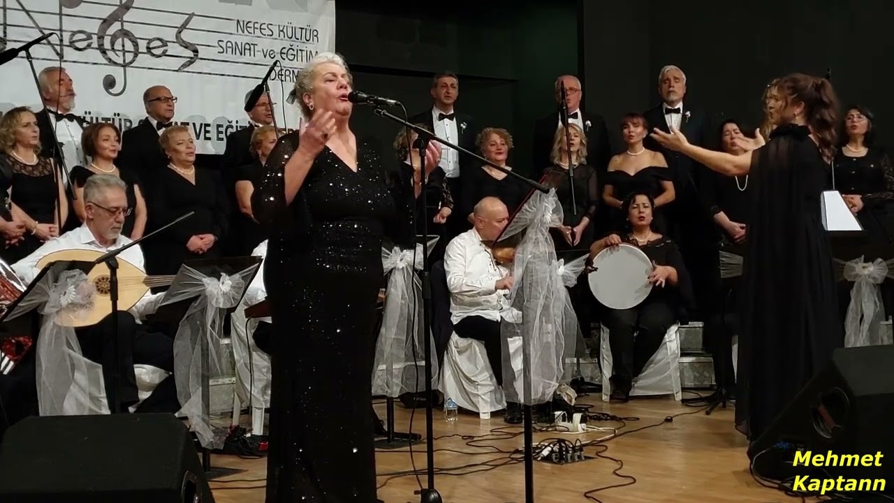 Tülin Gülerler – Her Gece Yollarda Gözledim Seni