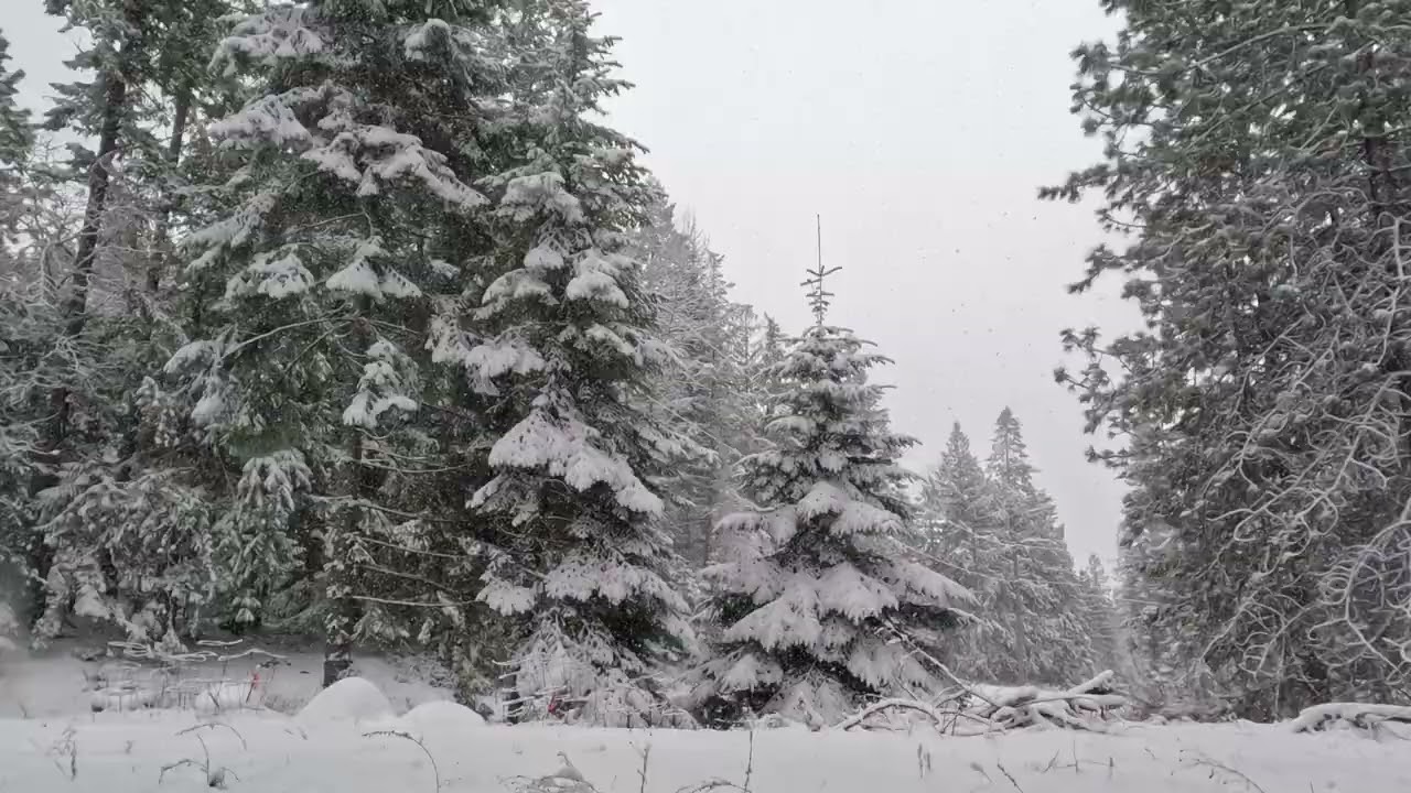 Snowball