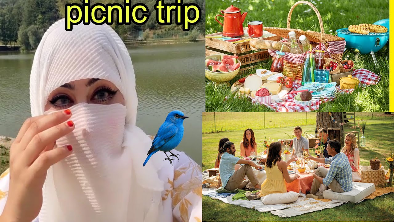 Enjoy a beautiful lake and picnic trip 