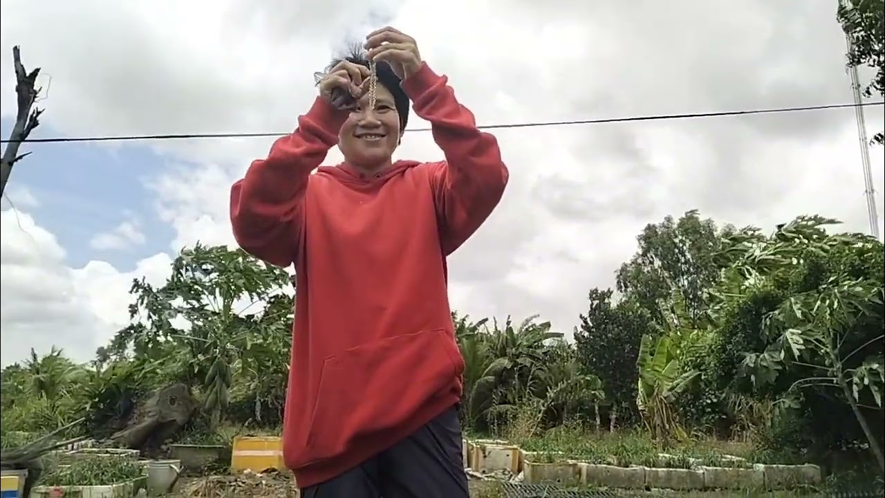 Bé Hiền mua vàng để í bác sĩ 