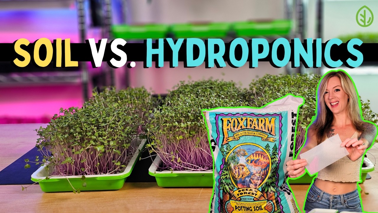 Growing Microgreens in SOIL vs. HYDROPONICS with ONLY WATER