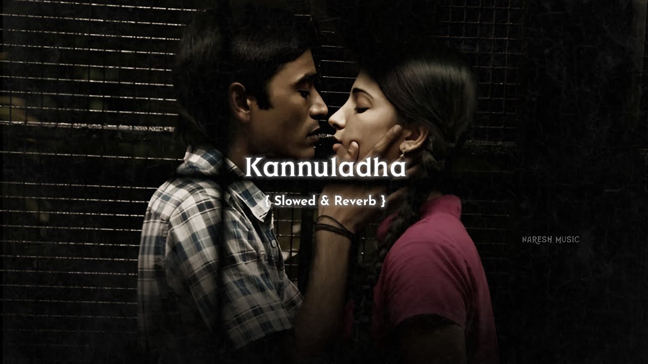 Kannuladha [ Slowed & Reverb ] Song | 3 Movie | Naresh Music