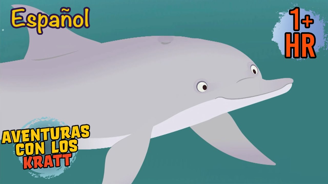 Una misión de rescate de delfines [episodios completos] Aventuras con los Kratt