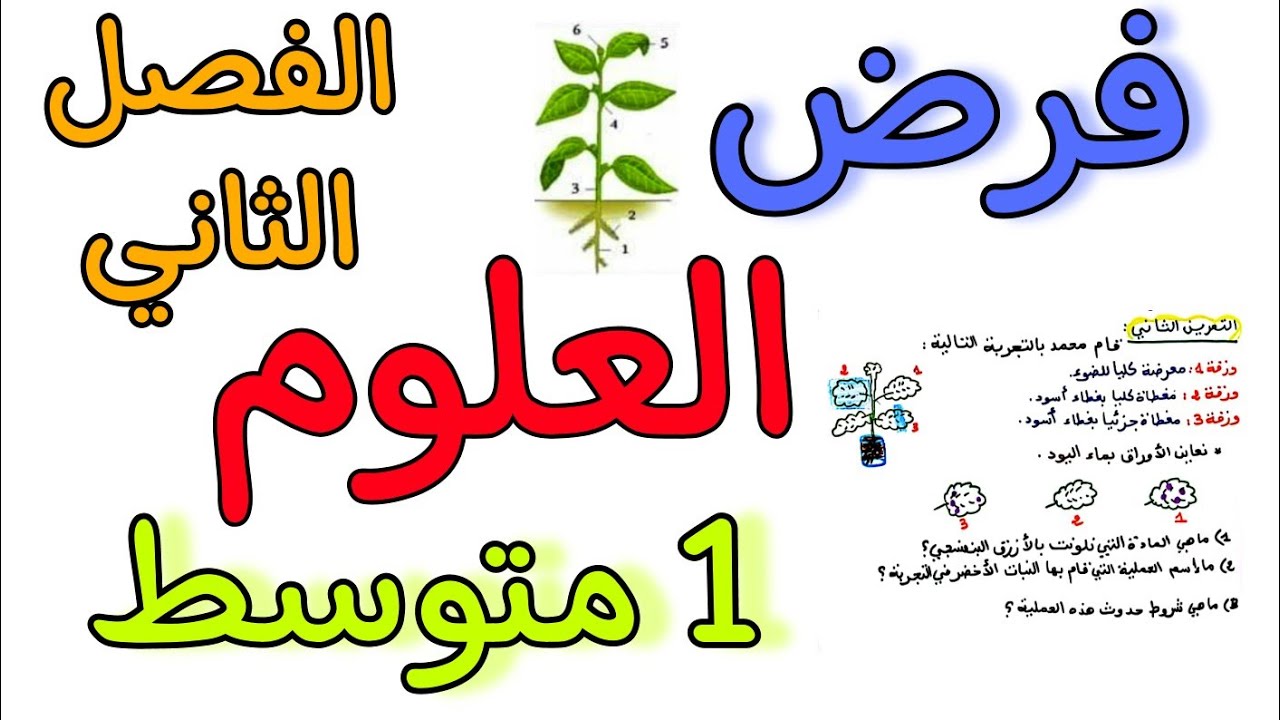 فرض في مادة العلوم أولى متوسط الفصل الثاني