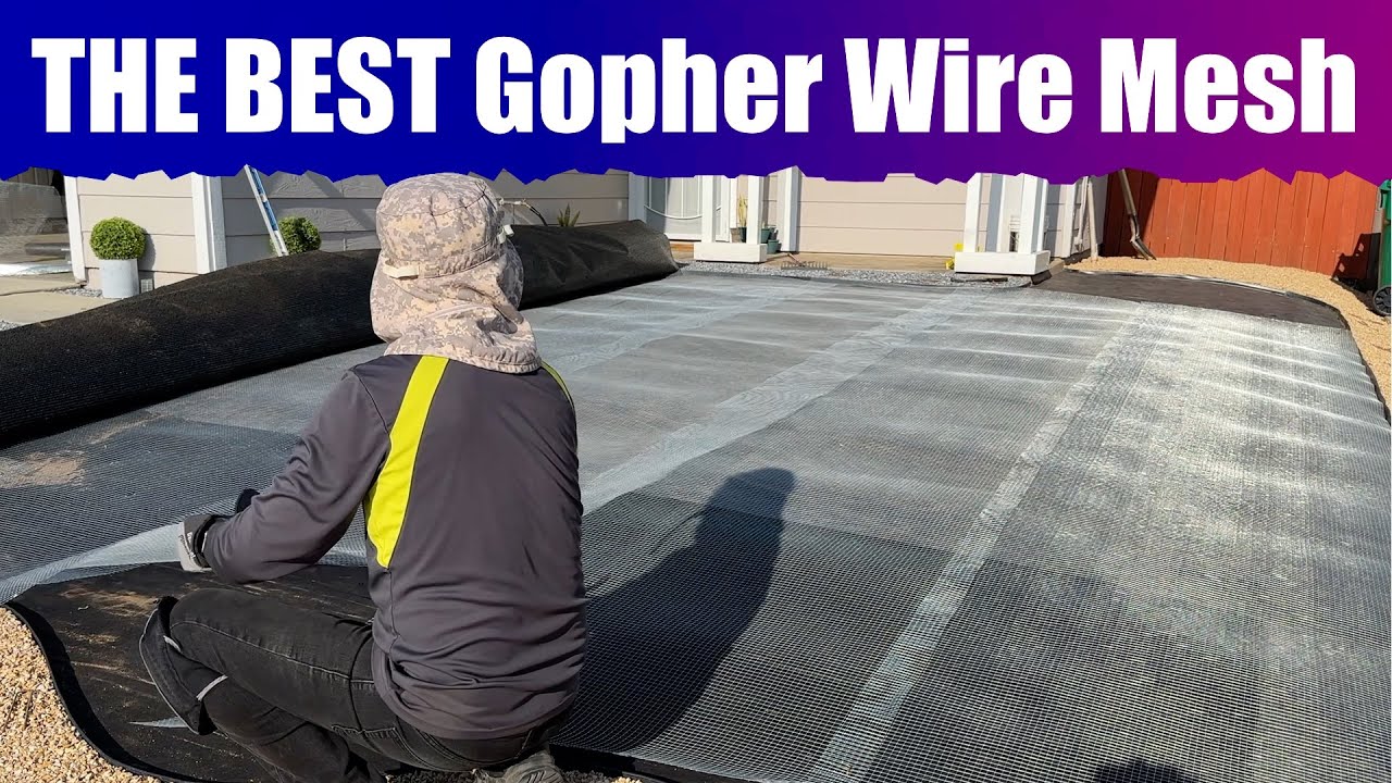Inexpensive Hot Dipped Galvanized Gopher Wire Mesh
