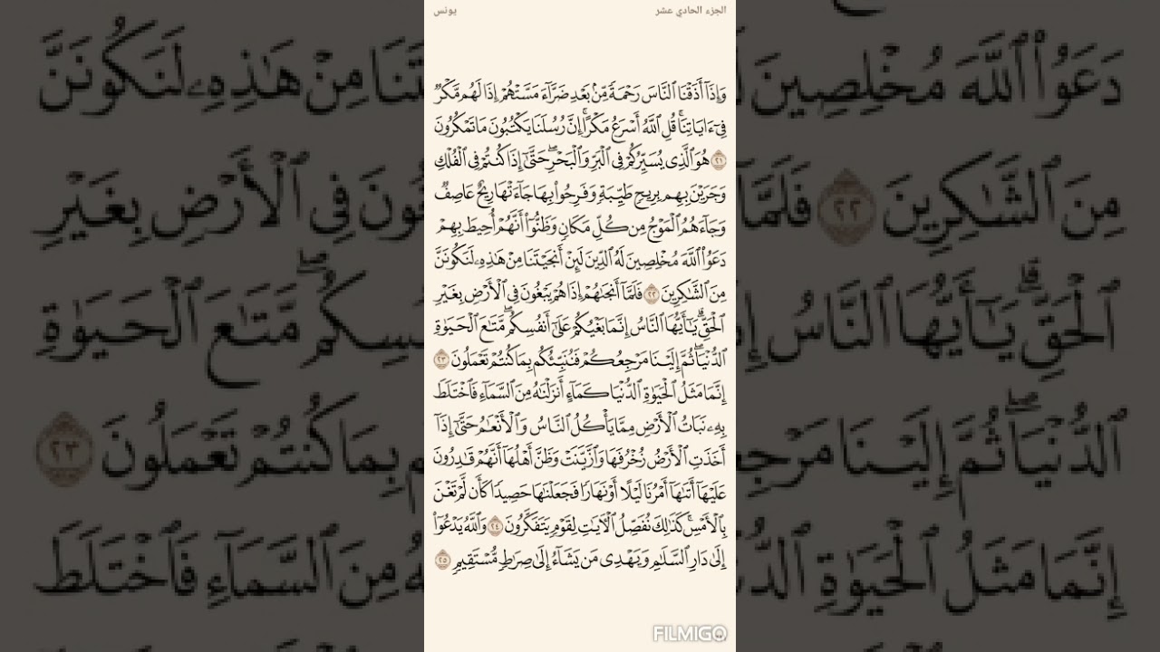 تفسير السعدي صفحة 211 سورة يونس من الاية (21) الى الاية (25)