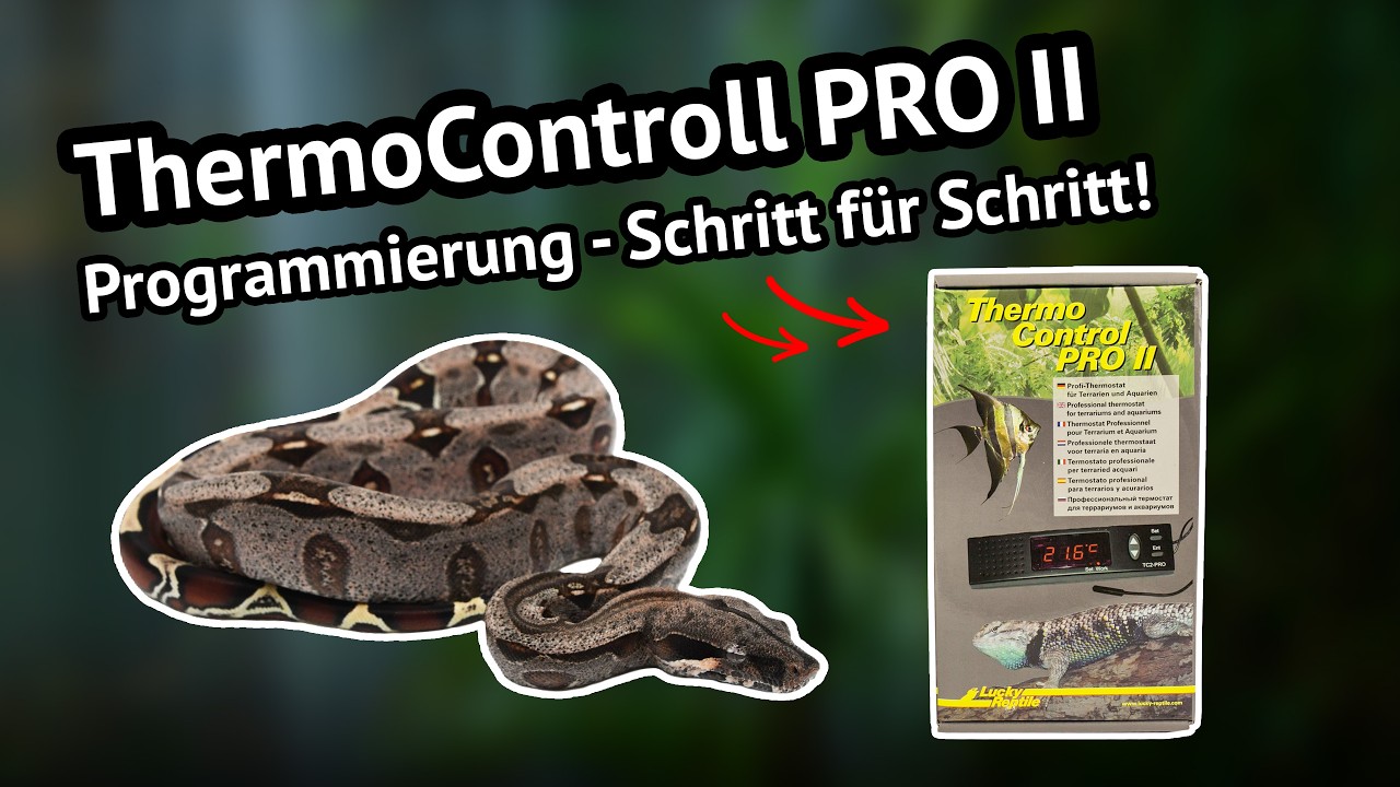Lucky Reptile Thermo Control II: Programmierung Schritt für Schritt erklärt