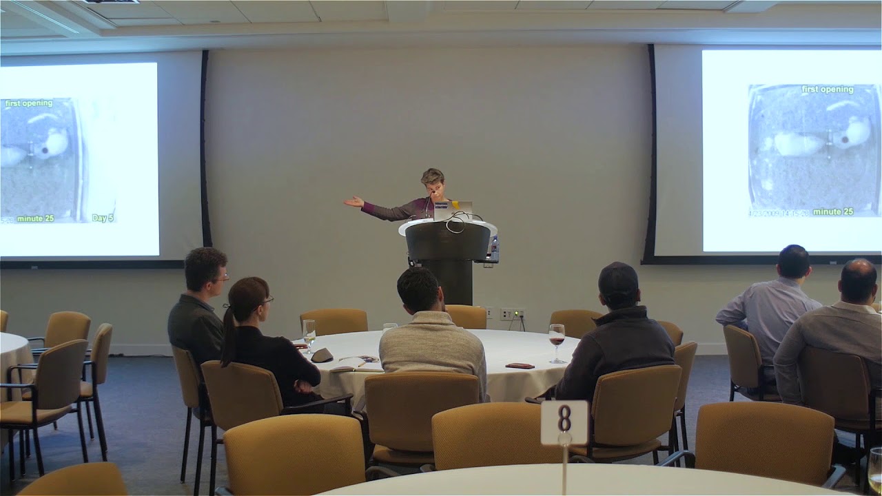 University of Chicago Professor Peggy Mason on Empathy