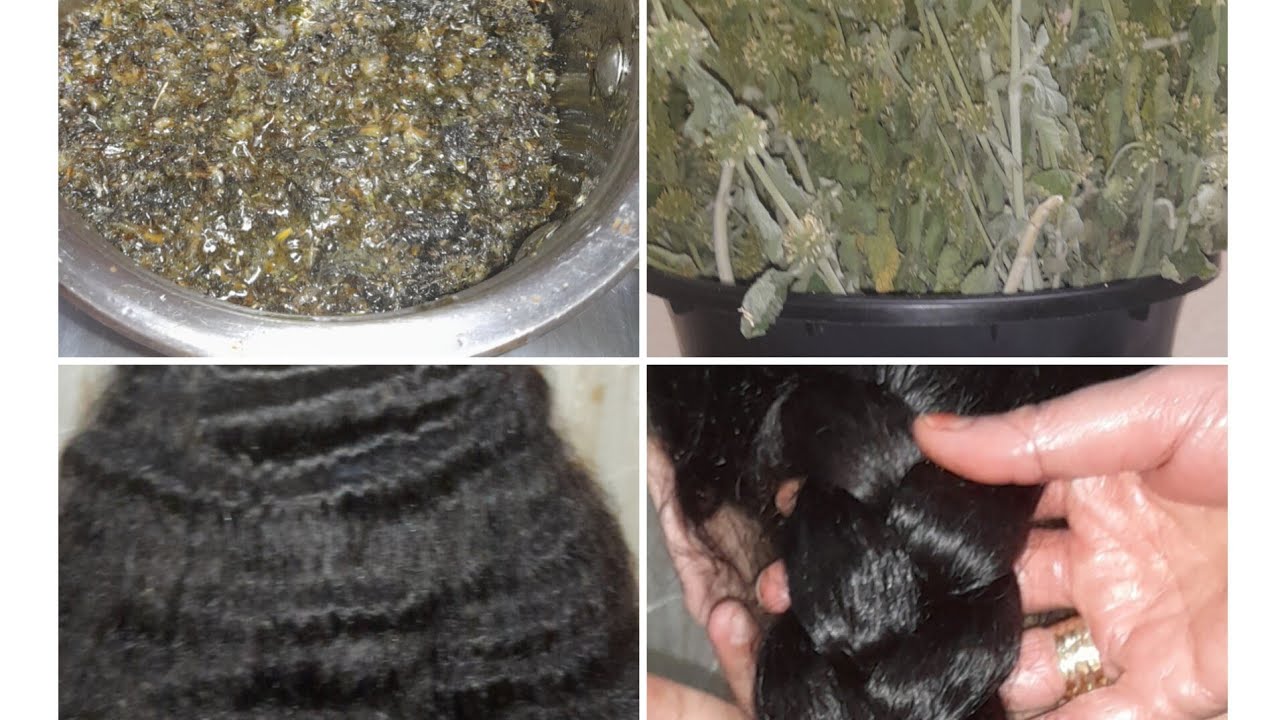 وصفةمريوة ديال الشعر بالنسبة للبنات لي مكيديروش الحنة نتيجة فورية عن تجربتي ورحمو ليا عليها الوليدين
