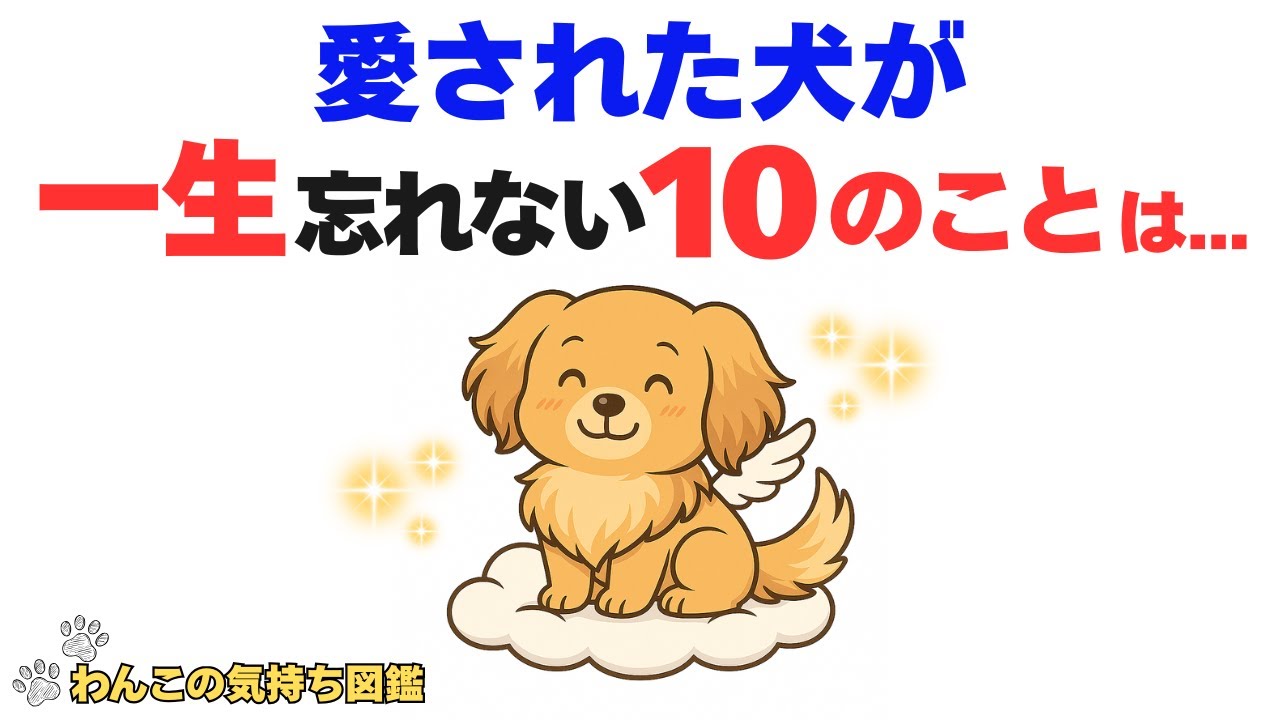 【泣ける】一生忘れない。ぼくたち犬が心に刻んでいる10のこと。【わんこの気持ち雑学】
