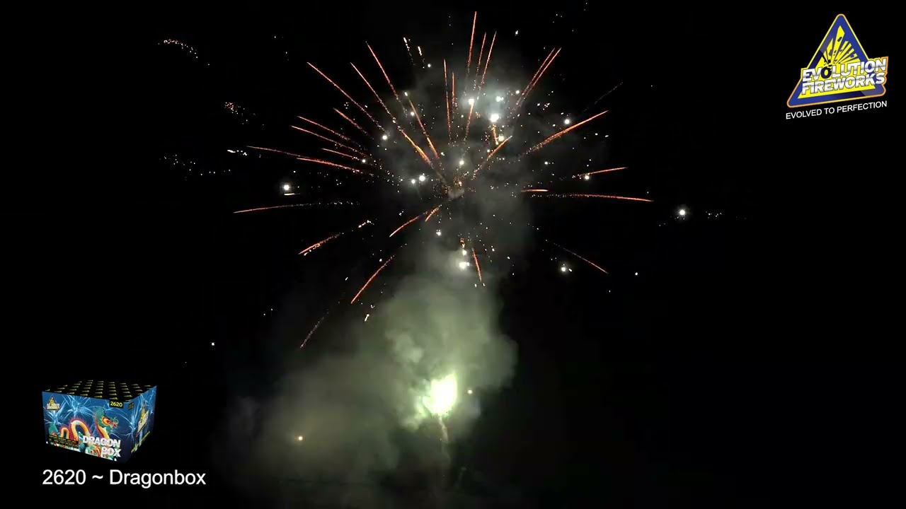 2620 - Dragonbox - EvolutionVuurwerk.nl