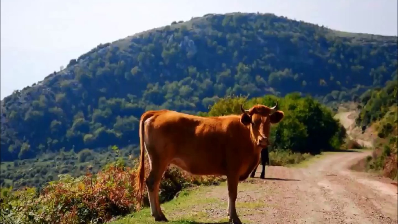 Μια μαγευτική διαδρομή στο Μενοίκιο!