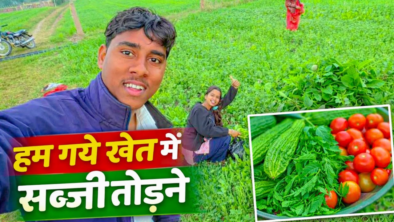 खेतों में हरि भरी सब्जियां तोड़ दिया | #deshivlog #trending #deshivlog