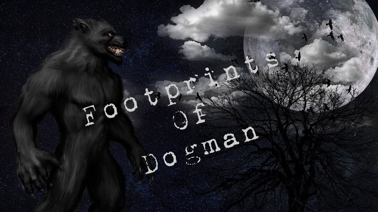 Dogman || Foot prints found