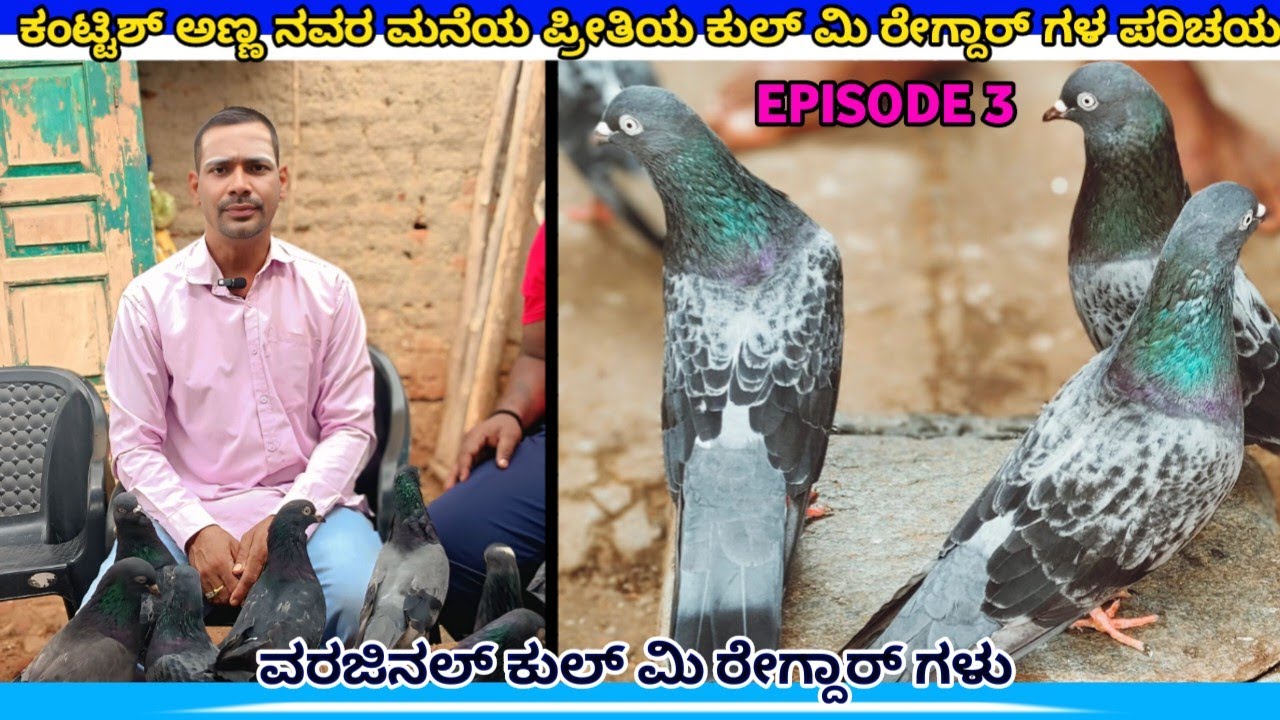 📯🦋ಕಂಟ್ಟಿಶ್ ಅಣ್ಣ ನವರ ಮನೆಯ ಪ್ರೀತಿಯ ಕುಲ್ ಮಿ ರೇಗ್ದಾರ್ ಗಳ ಪರಿಚಯ🕊️/ 💥(ವರಿಜಿನಲ್ ಕುಲ್ ಮಿ ರೇಗ್ದಾರ್)💥✅