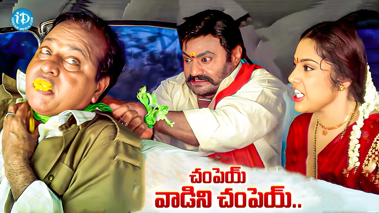 Meena Harikrishna Emotional Scenes | Swamy Telugu Movie Best Scenes | iDream Vizag