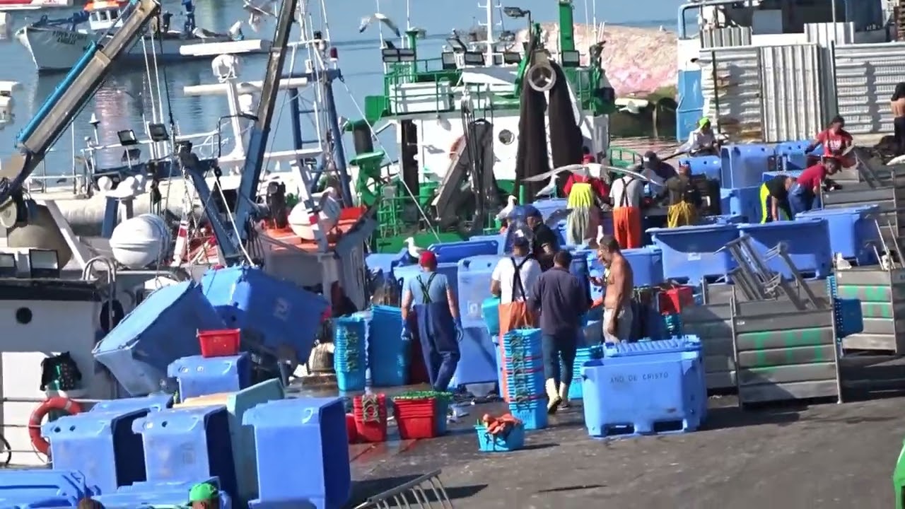 Barcos, Homens e Cais