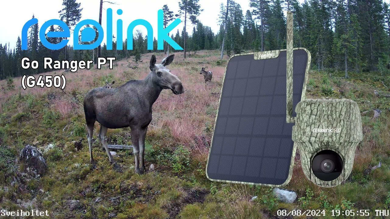 VILTKAMERA I AKSJON | Reolink Go Ranger PT (G450)