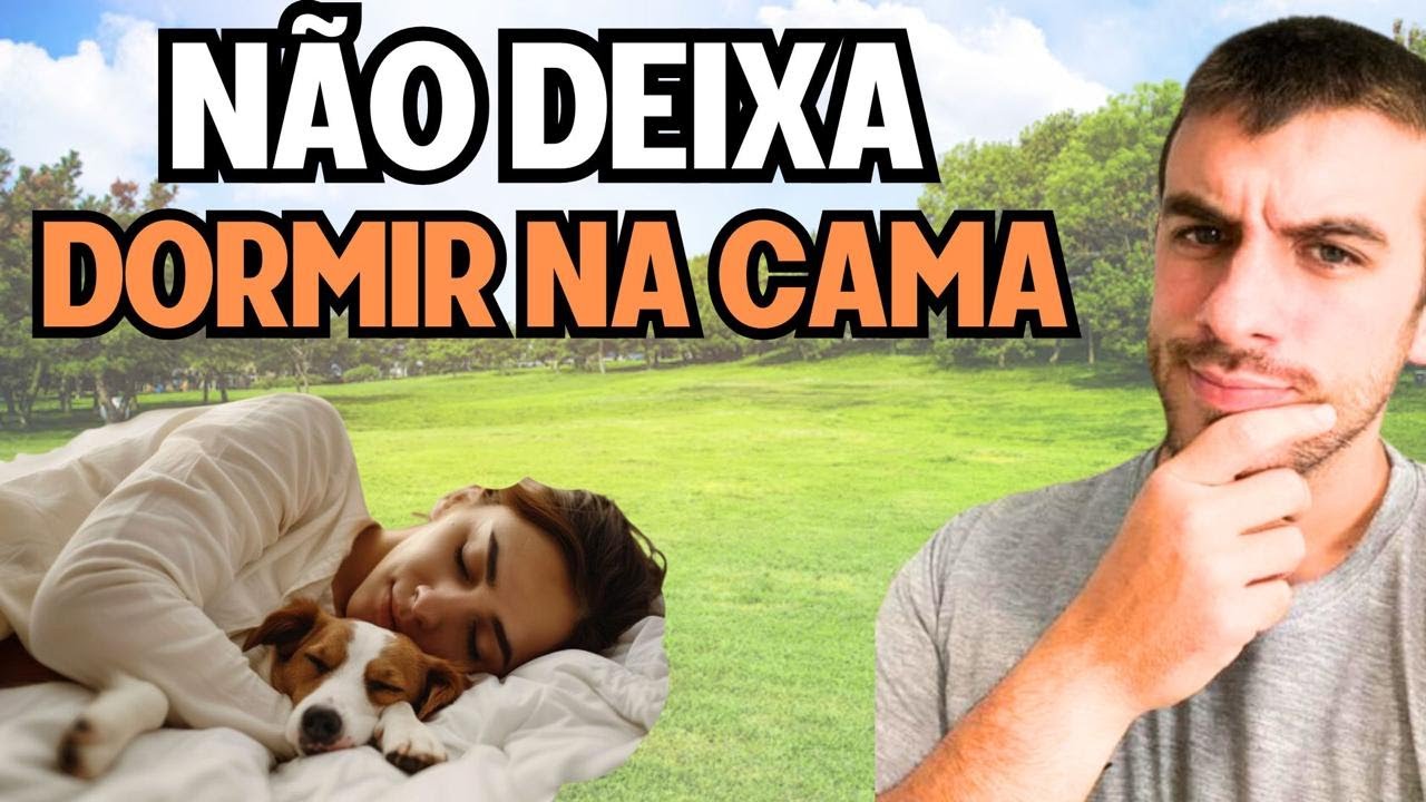 5 Maiores Erros que os Donos Iniciantes Cometem