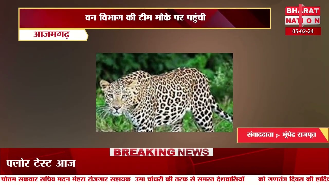 वन विभाग की टीम मौके पर पहुंची।आजमगढ़।उत्तर प्रदेश@bharat_nation