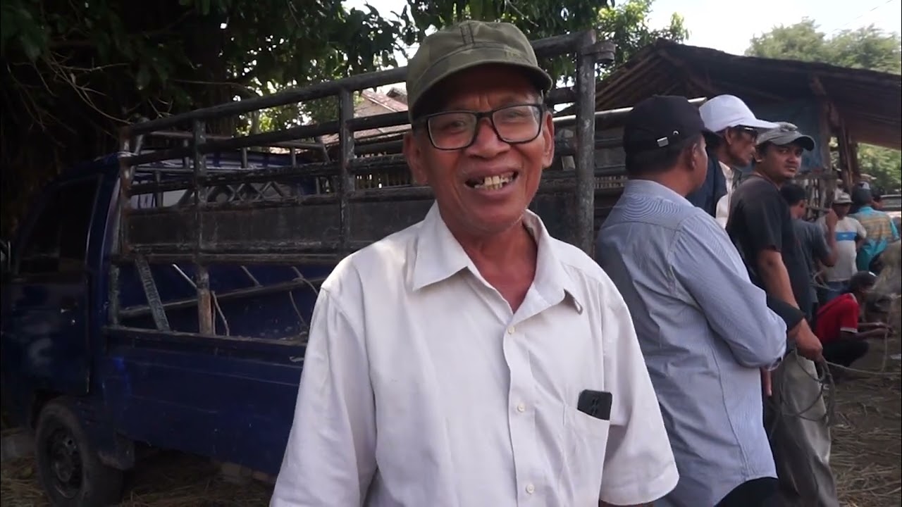 PASAR HEWAN DI KOTA SERANG