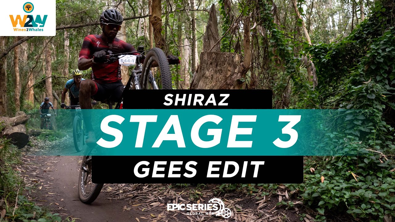 Stage 3 | Gees Edit | Shiraz | FNB Wines2Whales