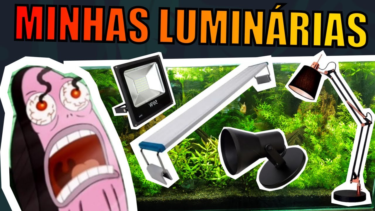 🔴TOUR PELAS LUMINÁRIAS DE AQUÁRIOS |Mr. Betta|
