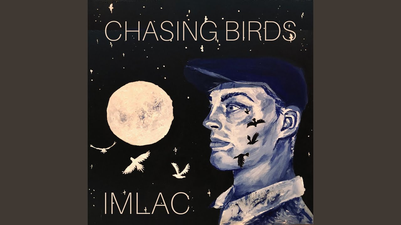 Chasing Birds
