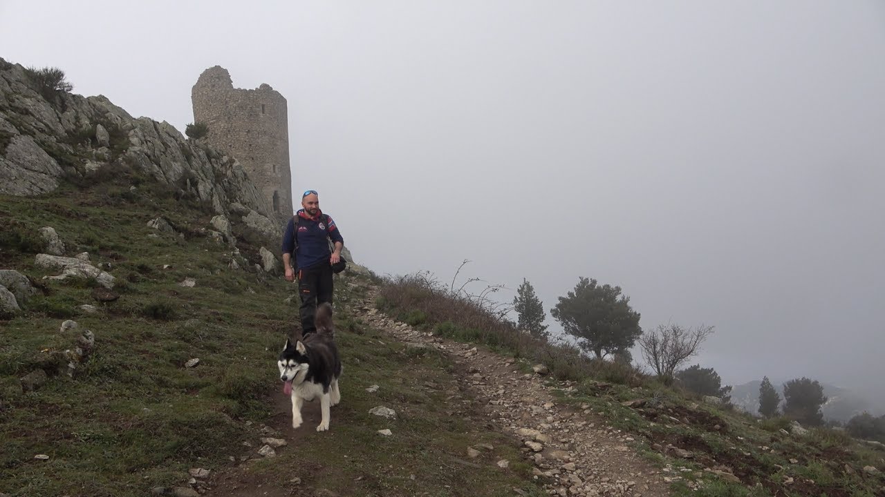 Randonnée Pyrénées Orientales/Albères : La Tour de la Massane