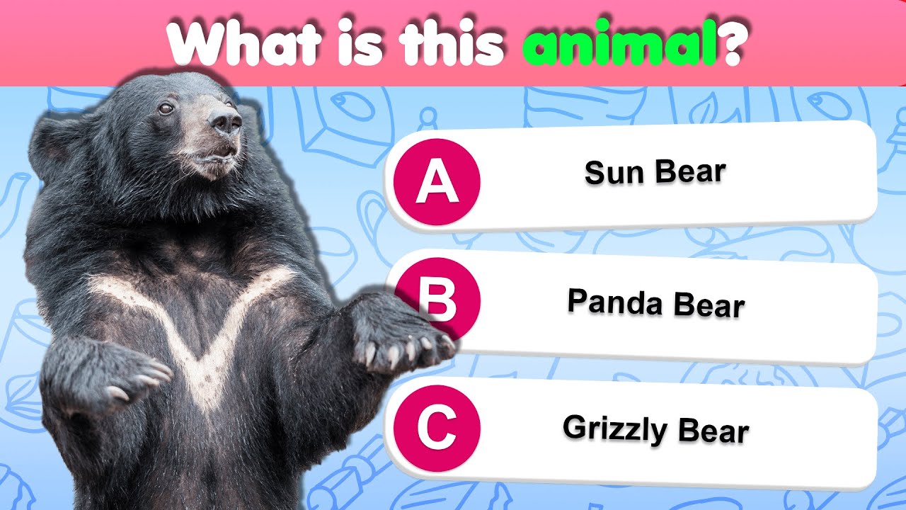 General Knowledge Quiz - 30 Trivia Questions to challenge you!