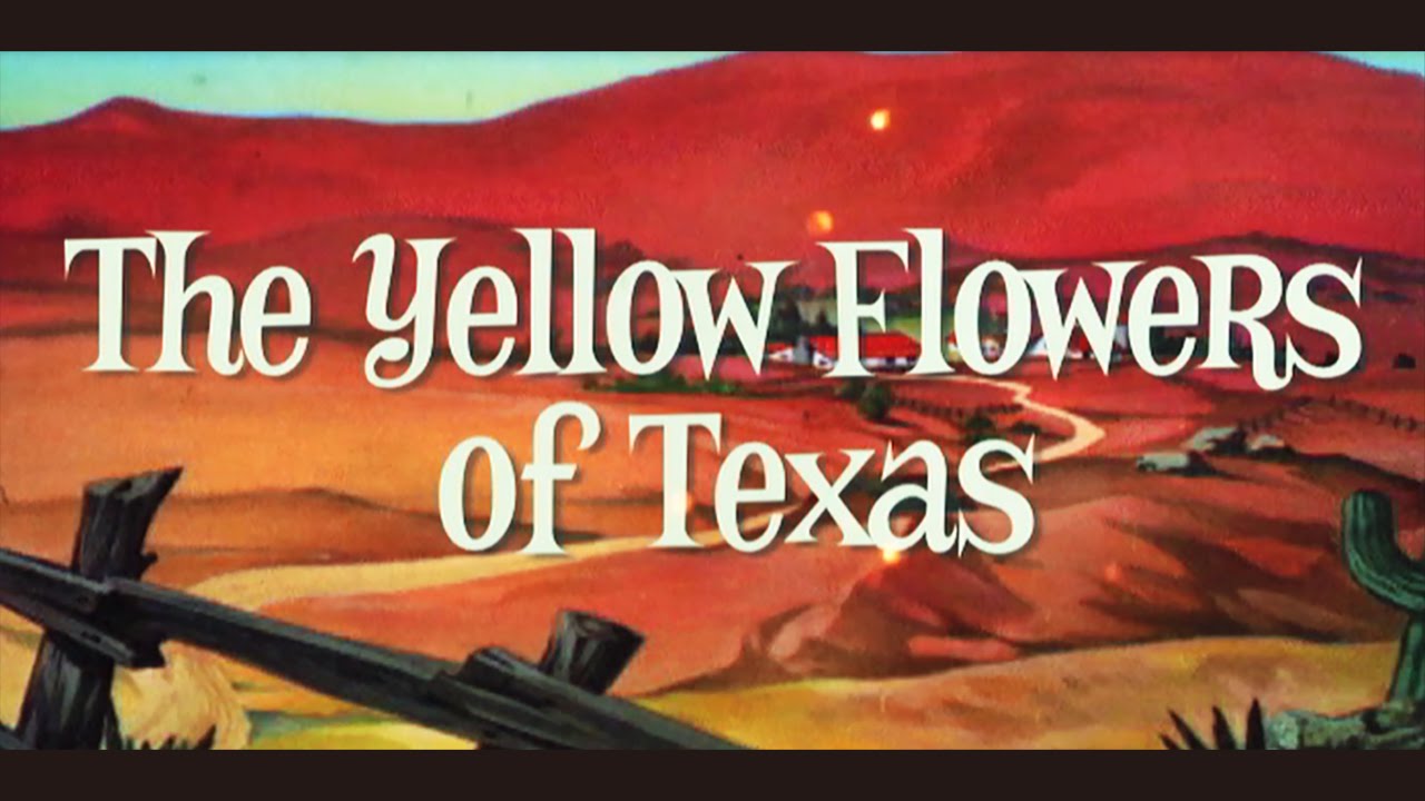 小島麻由美 Kojima Mayumi - テキサスの黄色い花 The Yellow Flowers of Texas (Official Music Video)
